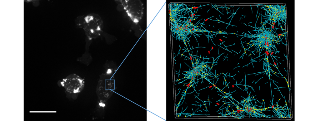 Clustering3e